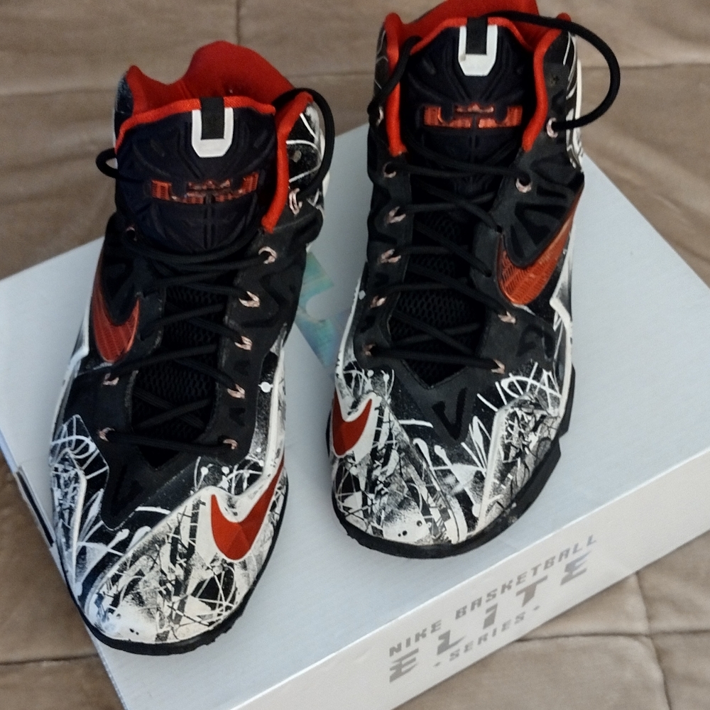 Pre owned Lebron James XI